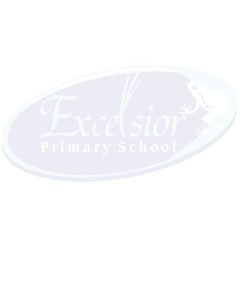 Excelsior Primary School